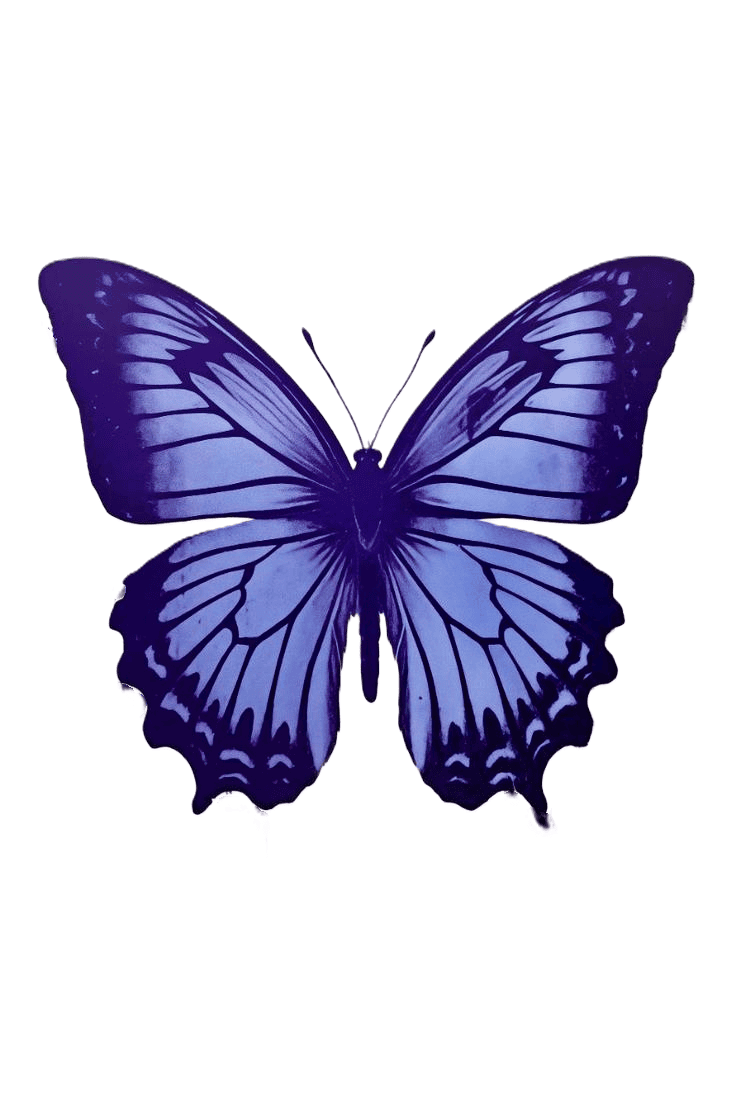 Indigo Butterfly Counseling and Wellness